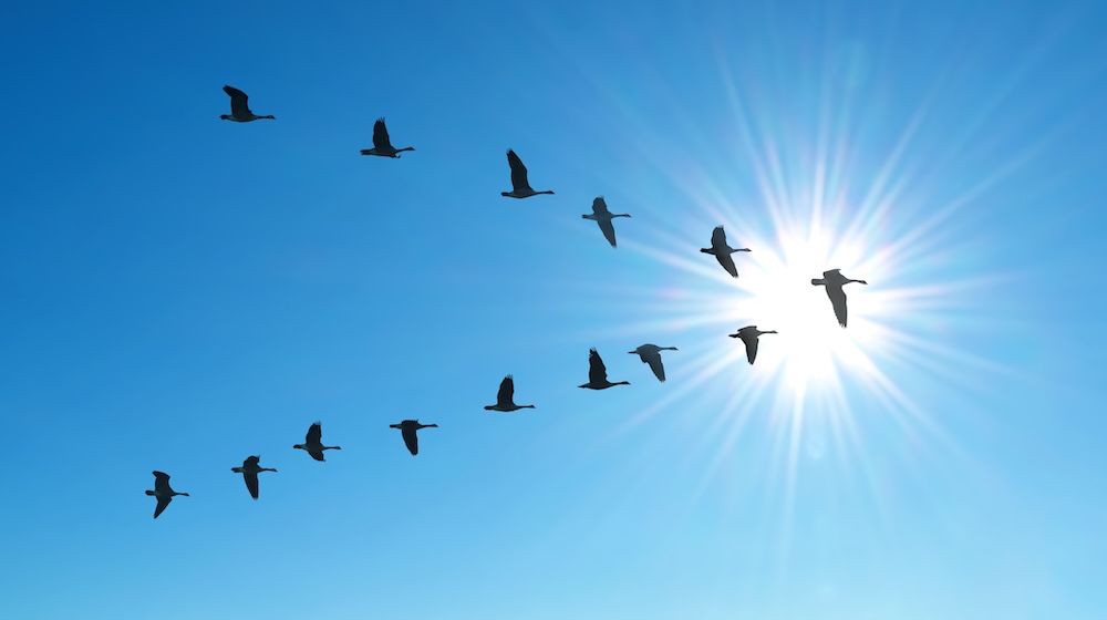 A Guide to Marketo Migrations